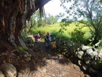 P1170070 &ndash; &copy; Cornelia Ritter (Eberhardt TRAVEL)