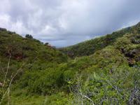 P1170075 &ndash; &copy; Cornelia Ritter (Eberhardt TRAVEL)