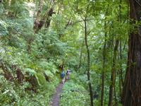 P1170092 &ndash; &copy; Cornelia Ritter (Eberhardt TRAVEL)