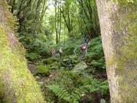 P1170101 &ndash; &copy; Cornelia Ritter (Eberhardt TRAVEL)