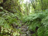 P1170104 &ndash; &copy; Cornelia Ritter (Eberhardt TRAVEL)
