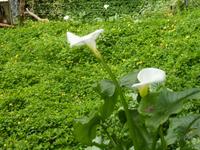 P1170111 &ndash; &copy; Cornelia Ritter (Eberhardt TRAVEL)