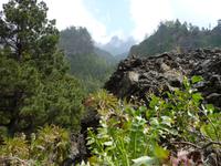 P1170144 &ndash; &copy; Cornelia Ritter (Eberhardt TRAVEL)