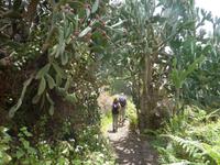 P1170167 &ndash; &copy; Cornelia Ritter (Eberhardt TRAVEL)