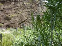 P1170168 &ndash; &copy; Cornelia Ritter (Eberhardt TRAVEL)