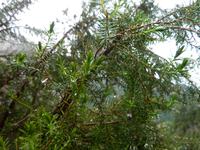 P1170218 &ndash; &copy; Cornelia Ritter (Eberhardt TRAVEL)