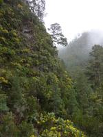 P1170226 &ndash; &copy; Cornelia Ritter (Eberhardt TRAVEL)