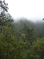 P1170229 &ndash; &copy; Cornelia Ritter (Eberhardt TRAVEL)