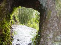 P1170240 &ndash; &copy; Cornelia Ritter (Eberhardt TRAVEL)