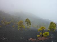 P1170264 &ndash; &copy; Cornelia Ritter (Eberhardt TRAVEL)