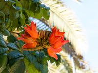 Santa Cruz &ndash; &copy; Anna Stiebing (Eberhardt TRAVEL)
