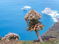 Echseninseln &ndash; &copy; Anna Stiebing (Eberhardt TRAVEL)