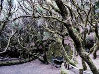Baumheide &ndash; &copy; Anna Stiebing (Eberhardt TRAVEL)