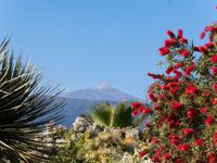 Teide &ndash; &copy; Anna Stiebing (Eberhardt TRAVEL)