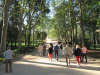 Madrid (32) &ndash; &copy; Francisco Javier Burgos Gutierrez (Eberhardt TRAVEL)