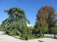 Madrid (53) &ndash; &copy; Francisco Javier Burgos Gutierrez (Eberhardt TRAVEL)