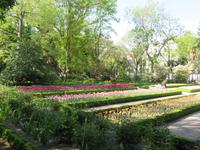 Madrid (55) &ndash; &copy; Francisco Javier Burgos Gutierrez (Eberhardt TRAVEL)