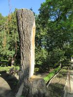 Madrid (58) &ndash; &copy; Francisco Javier Burgos Gutierrez (Eberhardt TRAVEL)