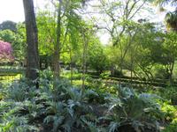 Madrid (60) &ndash; &copy; Francisco Javier Burgos Gutierrez (Eberhardt TRAVEL)