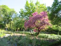 Madrid (61) &ndash; &copy; Francisco Javier Burgos Gutierrez (Eberhardt TRAVEL)