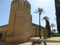 Córdoba (59) &ndash; &copy; Francisco Javier Burgos Gutierrez (Eberhardt TRAVEL)