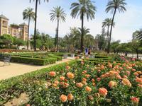 Sevilla (1) &ndash; &copy; Francisco Javier Burgos Gutierrez (Eberhardt TRAVEL)