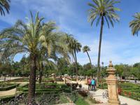 Sevilla (6) &ndash; &copy; Francisco Javier Burgos Gutierrez (Eberhardt TRAVEL)