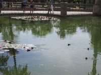 Sevilla (7) &ndash; &copy; Francisco Javier Burgos Gutierrez (Eberhardt TRAVEL)