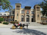 Sevilla (8) &ndash; &copy; Francisco Javier Burgos Gutierrez (Eberhardt TRAVEL)