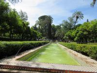 Sevilla (13) &ndash; &copy; Francisco Javier Burgos Gutierrez (Eberhardt TRAVEL)