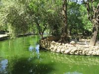 Sevilla (16) &ndash; &copy; Francisco Javier Burgos Gutierrez (Eberhardt TRAVEL)