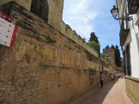Sevilla (52) &ndash; &copy; Francisco Javier Burgos Gutierrez (Eberhardt TRAVEL)