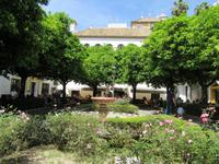 Sevilla (56) &ndash; &copy; Francisco Javier Burgos Gutierrez (Eberhardt TRAVEL)