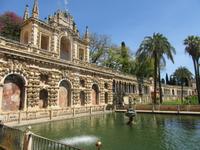 Sevilla (87) &ndash; &copy; Francisco Javier Burgos Gutierrez (Eberhardt TRAVEL)