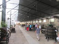 Jerez de la Frontera (17)