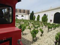 Jerez de la Frontera (22) &ndash; &copy; Francisco Javier Burgos Gutierrez (Eberhardt TRAVEL)