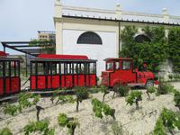 Jerez de la Frontera (23) &ndash; &copy; Francisco Javier Burgos Gutierrez (Eberhardt TRAVEL)