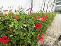 Jerez de la Frontera (24) &ndash; &copy; Francisco Javier Burgos Gutierrez (Eberhardt TRAVEL)