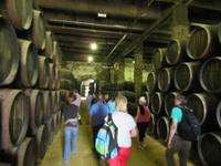Jerez de la Frontera (25) &ndash; &copy; Francisco Javier Burgos Gutierrez (Eberhardt TRAVEL)