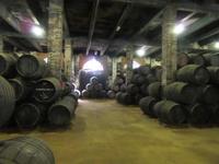 Jerez de la Frontera (26) &ndash; &copy; Francisco Javier Burgos Gutierrez (Eberhardt TRAVEL)