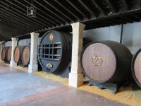 Jerez de la Frontera (36) &ndash; &copy; Francisco Javier Burgos Gutierrez (Eberhardt TRAVEL)