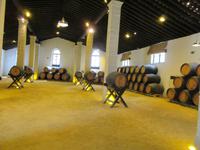 Jerez de la Frontera (39) &ndash; &copy; Francisco Javier Burgos Gutierrez (Eberhardt TRAVEL)