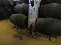 Jerez de la Frontera (40) &ndash; &copy; Francisco Javier Burgos Gutierrez (Eberhardt TRAVEL)