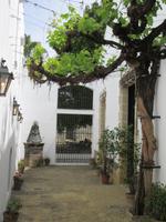 Jerez de la Frontera (45) &ndash; &copy; Francisco Javier Burgos Gutierrez (Eberhardt TRAVEL)