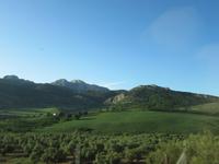 Granada (1) &ndash; &copy; Francisco Javier Burgos Gutierrez (Eberhardt TRAVEL)