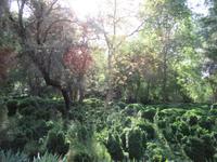 Granada (3) &ndash; &copy; Francisco Javier Burgos Gutierrez (Eberhardt TRAVEL)