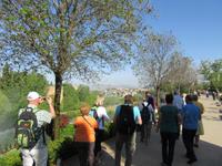 Granada (5) &ndash; &copy; Francisco Javier Burgos Gutierrez (Eberhardt TRAVEL)
