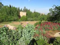 Granada (6) &ndash; &copy; Francisco Javier Burgos Gutierrez (Eberhardt TRAVEL)