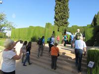 Granada (8) &ndash; &copy; Francisco Javier Burgos Gutierrez (Eberhardt TRAVEL)