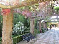 Granada (11) &ndash; &copy; Francisco Javier Burgos Gutierrez (Eberhardt TRAVEL)
